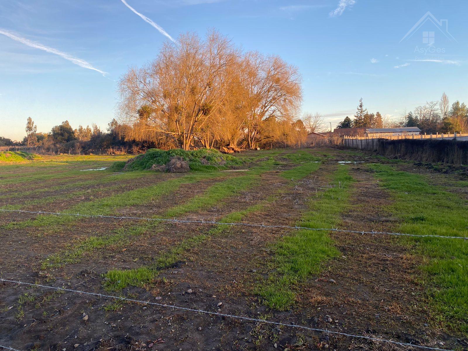 Venta Terreno en Alto Las Cruces 